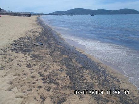 The oil spill along Quy Nhon Beach on July 7 (Photo: SGGP)
